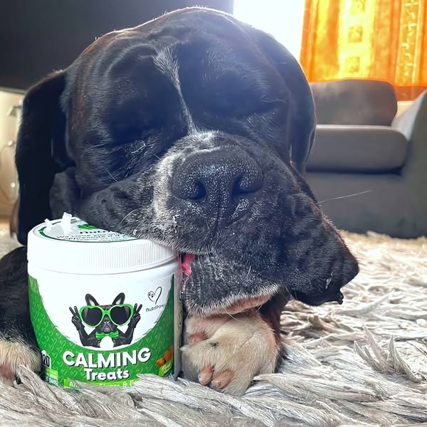 A high-performing static ad featuring a dog resting peacefully on a tub of calming treats to signal product efficacy through emotional association.